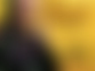 Zé Ramalho – Show dos Sucessos – Volume II