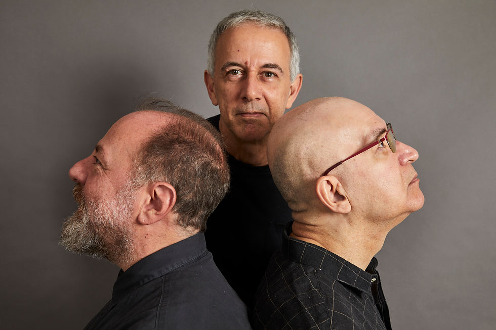 OS PARALAMAS DO SUCESSO - “Paralamas Clássicos - 40 anos”