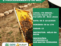 FAEMG, SENAR, Sindicato Rural de Itapecerica, Ita Brasil e Prefeitura promovem curso de manejo de abelhas e processamento de mel e cera