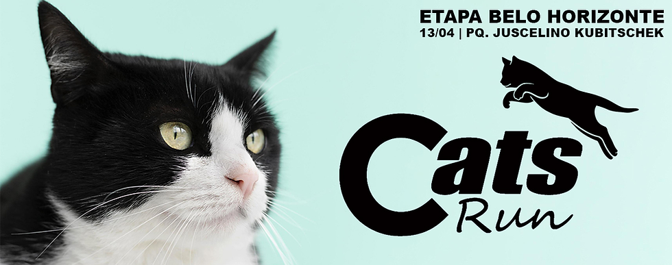 Cats Run 2025