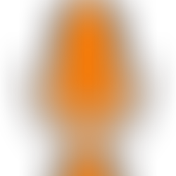 TEST rédacteur invité