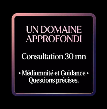 Consultation 30 mn