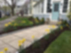 Spring Clean Up