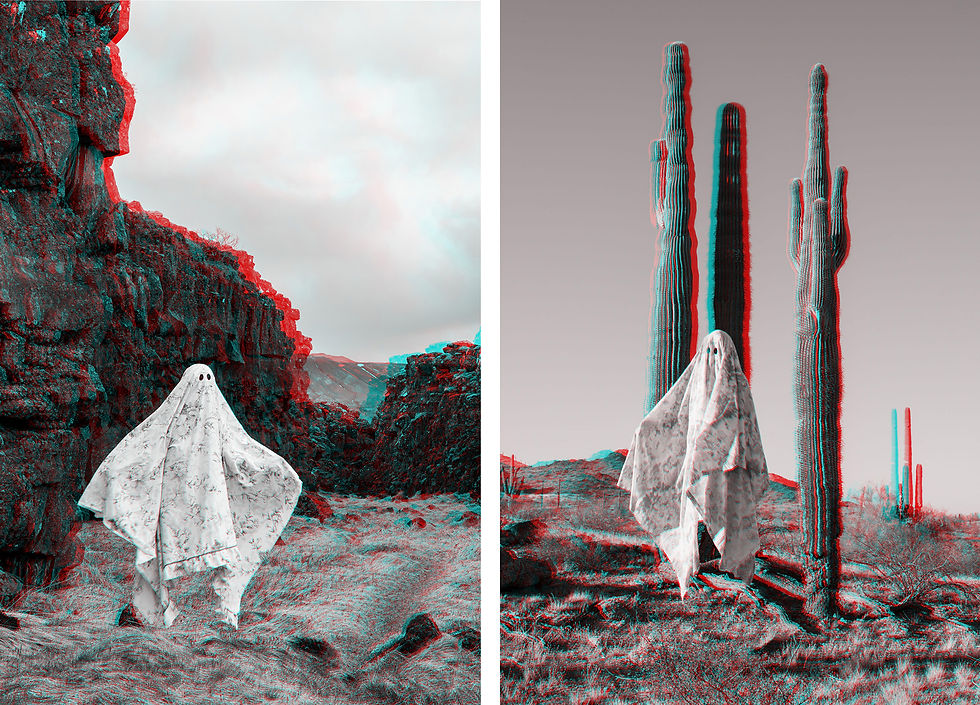 Mid-Atlantic Ridge Ghost and Saguaros Ghost, 24”x34” each, Archival Pigment Prints, 2024