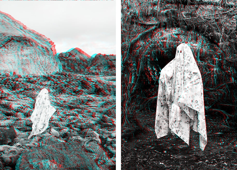 Lava Field Ghost and Leadbetter Point Mossy Ghost, 24” x 34” each, Archival Pigment Prints, 2024