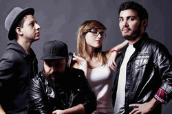 Contratación de Hello Seahorse