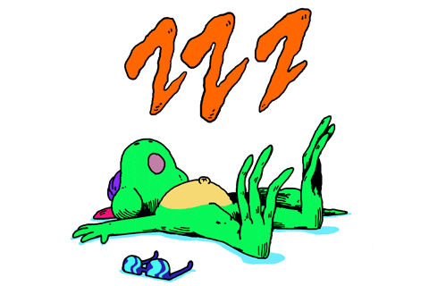 snarka.gif