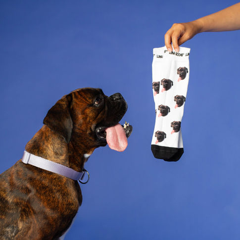 Luna Socks - June 2023