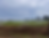 image002.png