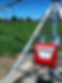 dji_fly_20230818_131658_72_1692389848260_photo_optimized.jpg