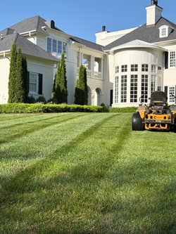 lines in grass with lawn mower best Commercial Lawn Care