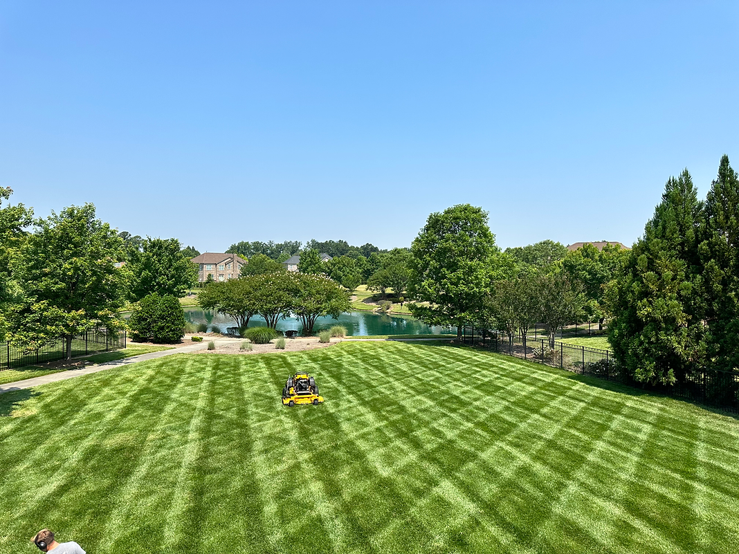 lawn mowed by Green space