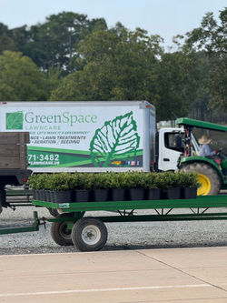 Green Space Lawncare