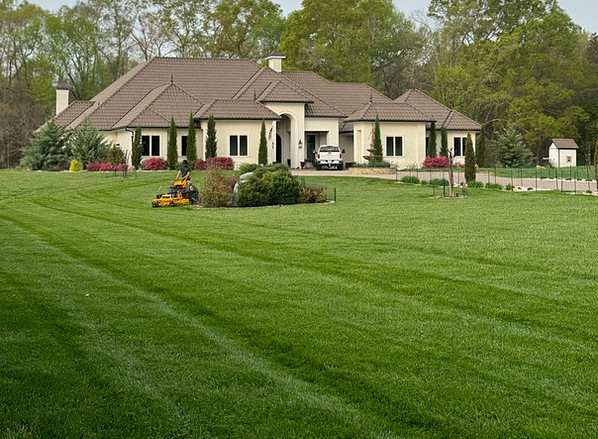GreenSpace Tanner Weddington lawn