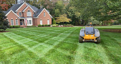 lawn stipes greenspace