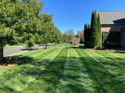 Tanner GreenSpace17