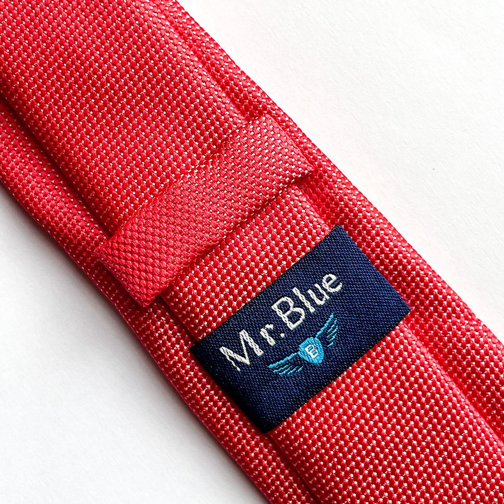 Corbata   Mr.Blue color coral lisa