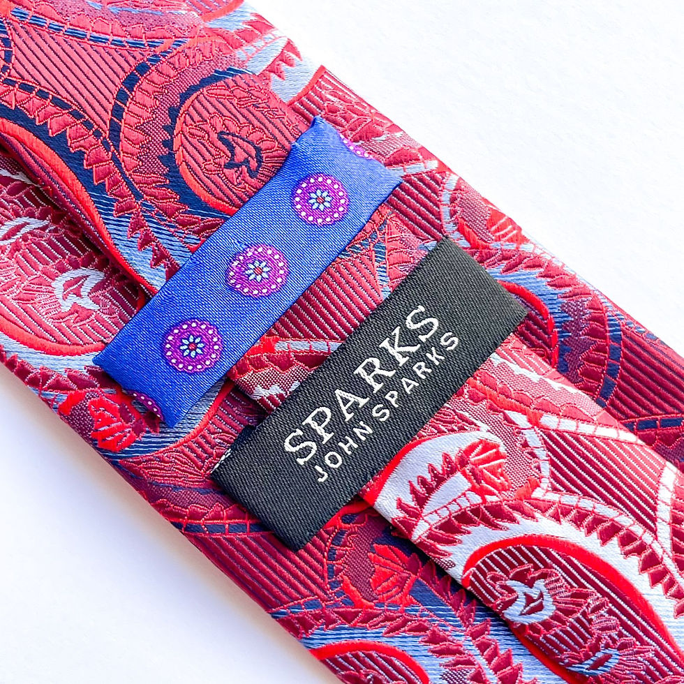 Hermosa corbata John Sparks con diseño paisley