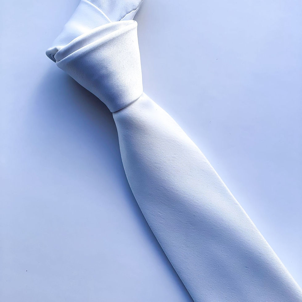 Hermosa corbata Stacy Adams lisa