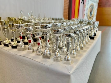 Review of the 34th DKO German Championship - Experiences and Insights from the Shinzen Dojo