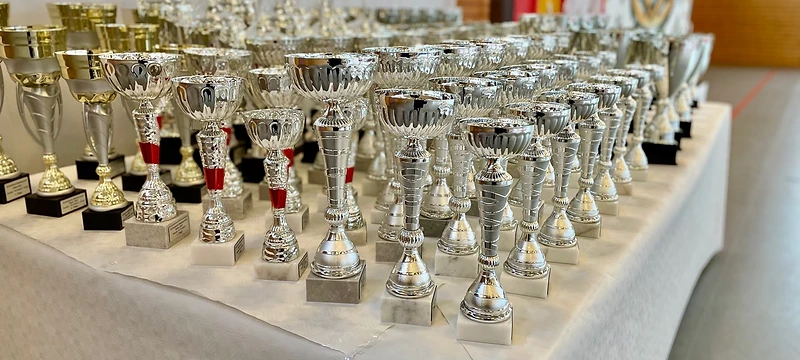 Rückblick auf die 34. Deutsche Meisterschaft der DKO - Erfahrungen und Erkenntnisse des Shinzen Dojo