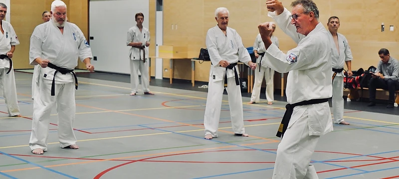 Vertiefung des Kyokushin Karate: Intensives Spezialtraining mit Shihan Roel Wildeboer