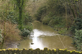 _MG_7018_edited.jpg