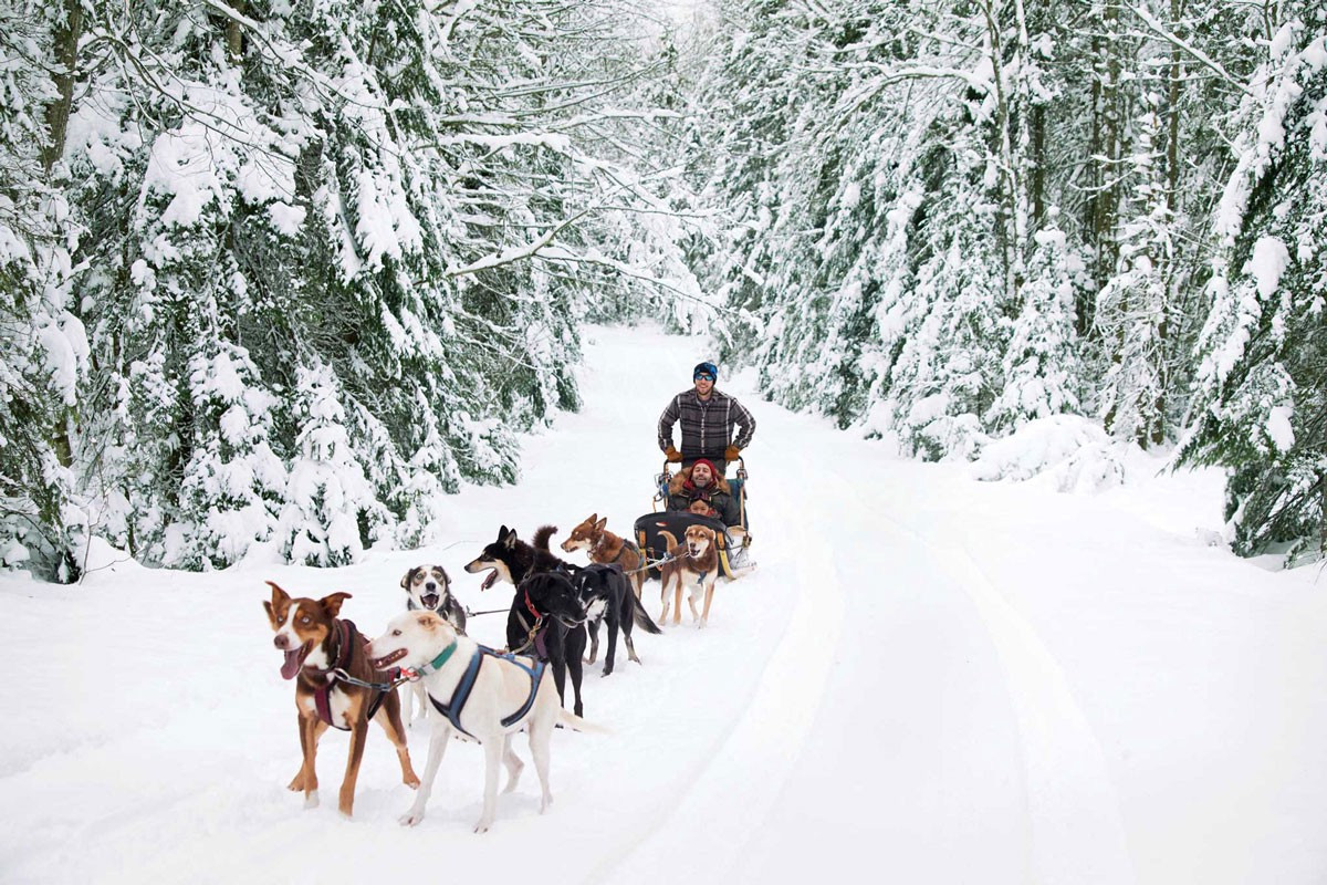 mushing shop