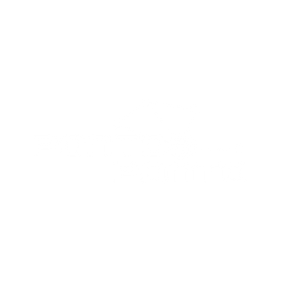 ponto-a-ponto.png