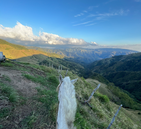 Amazing view from Jordy's farm on a horse