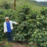 Two Consecutive Strong Harvests Needed to Rebuild Global Coffee Stocks