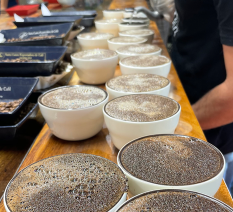 Cupping some of the most delicious coffees from the Aguilera Bros