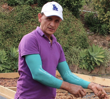 Victor Romero Madrigal, with over 40 years of experience, is the cornerstone of the family’s coffee legacy. His dedication to producing exceptional coffee and sharing his knowledge has made him both mentor and example to his children. Without his guidance, Tributos del Ota would not exist.