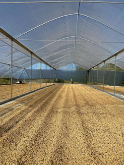 Drying patios