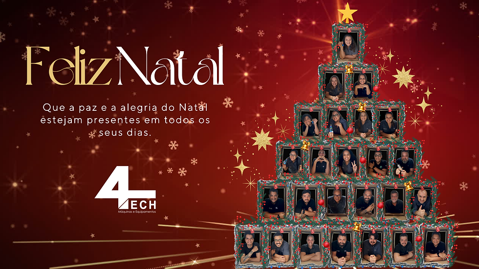 ÁRVORE DE NATAL (1)