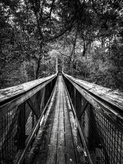 Palatka Gardens, Florida.JPG