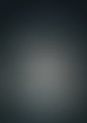 Brewnote_ Hollow Knight