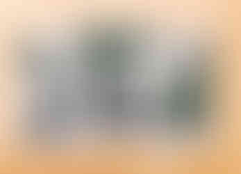 Brewnote_ Hollow Knight