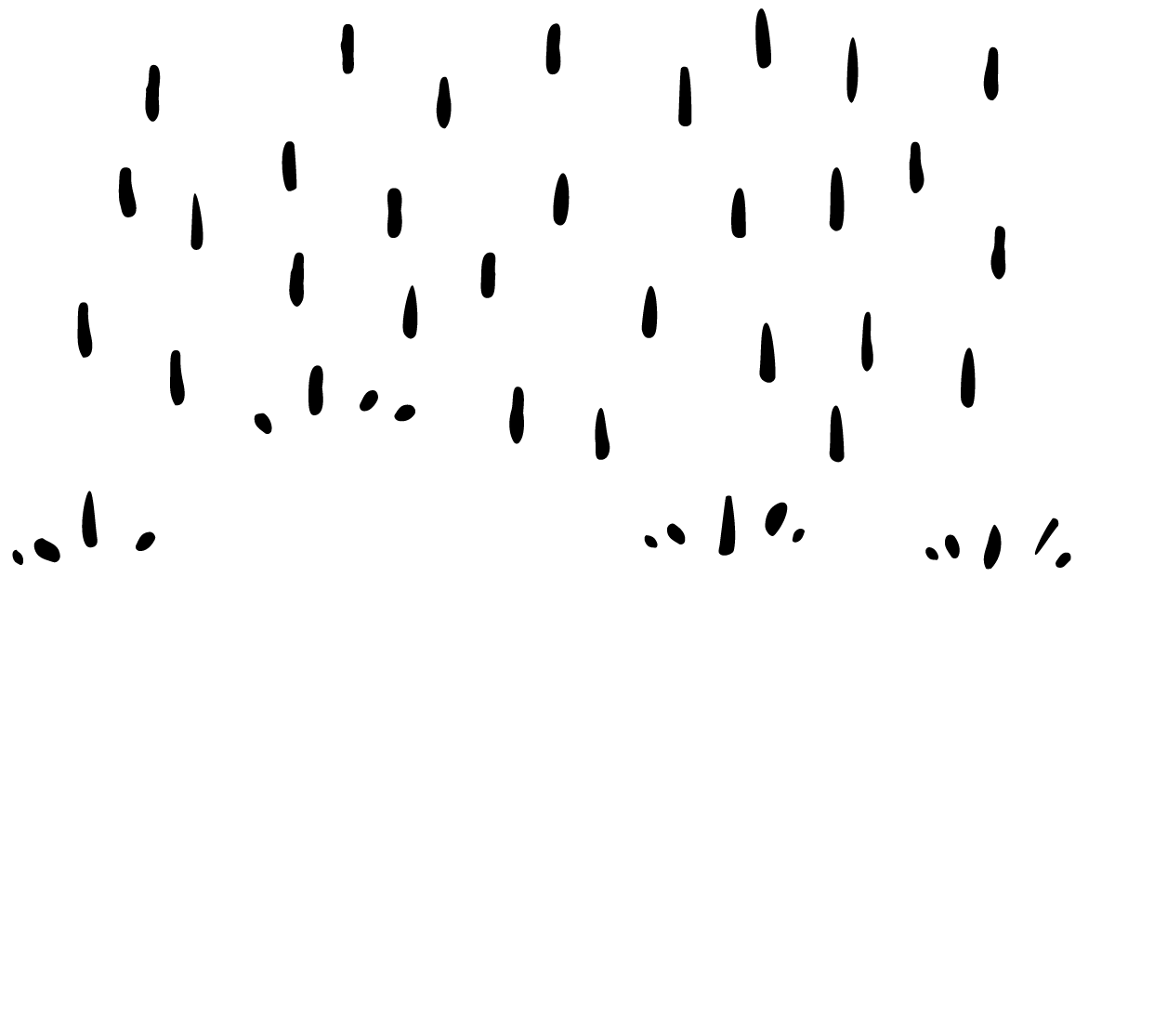 무제-2.gif