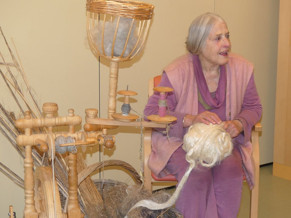 Vortrag Traudl Schwienbacher