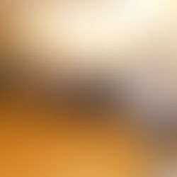 Auftritt des Südtiroler Chorverbandes