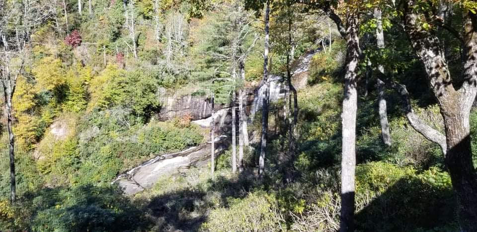 received_455148939338793