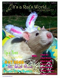 tn_It's a Rat's World cover.jpeg