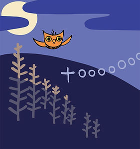 Night Owl book page