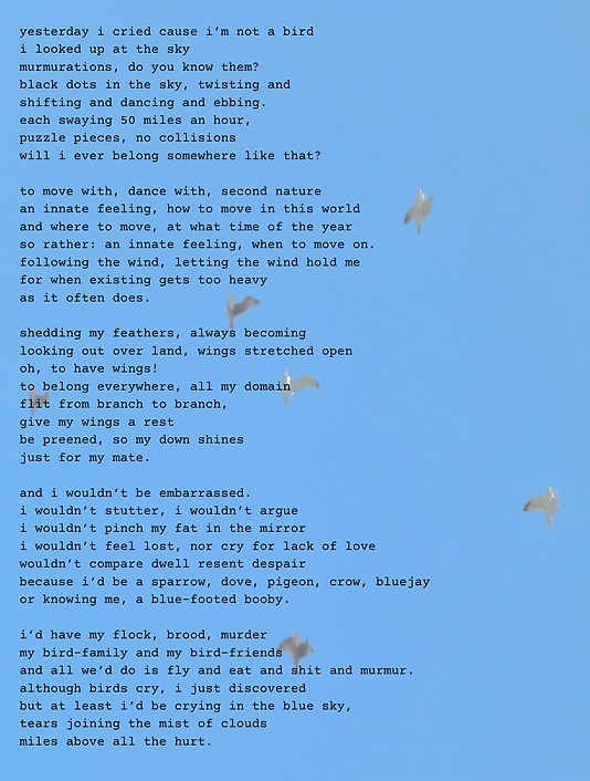 yesterday i cried cause i’m not a bird i looked up at the sky murmurations, do you know th