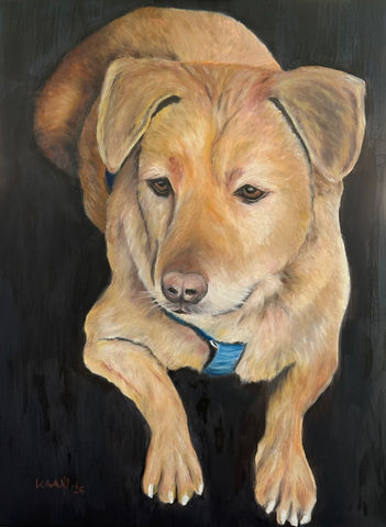 Auftragsarbeiten: Hunde