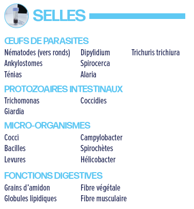 Capture d’écran 2026-02-05 143740.png