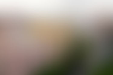 El Paseo de Almería