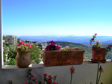 Safed the beautiful