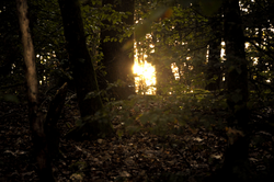 The Light Beyond - _AdrianBesson